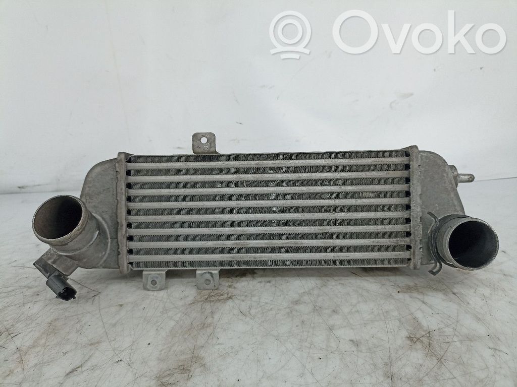 Radiador intercooler   6714315,282712A610