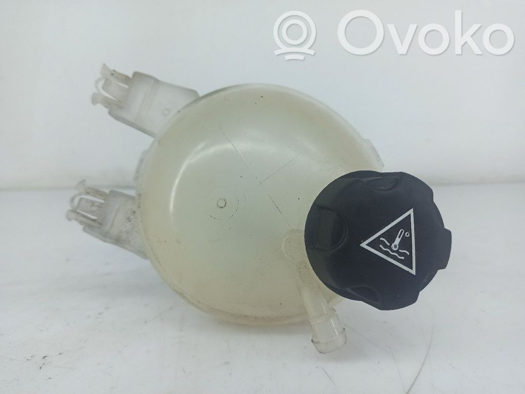 Depósito del refrigerante   9800777280