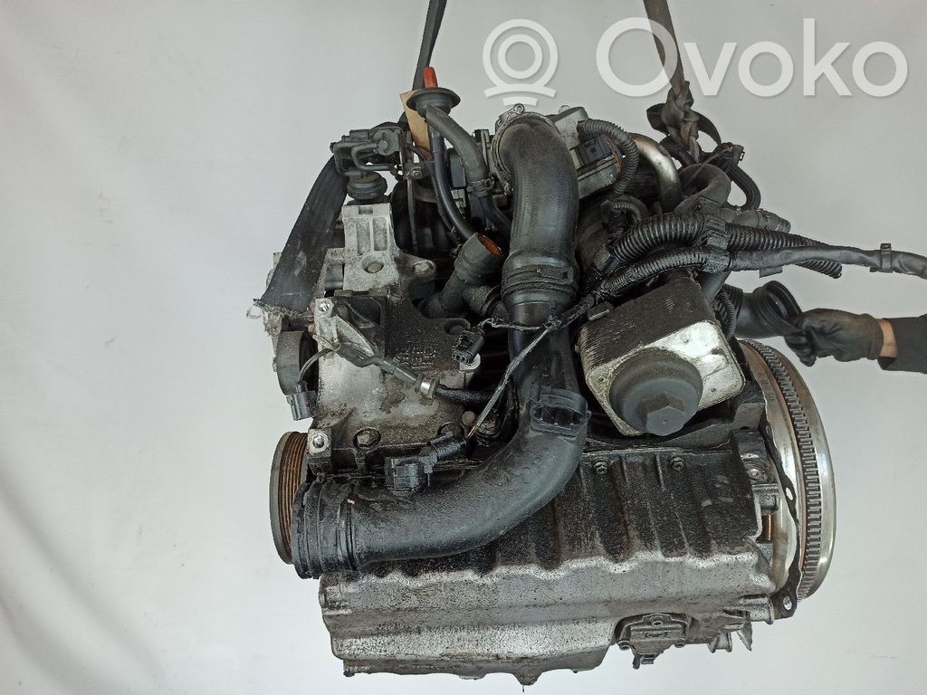 Motor   BMN
