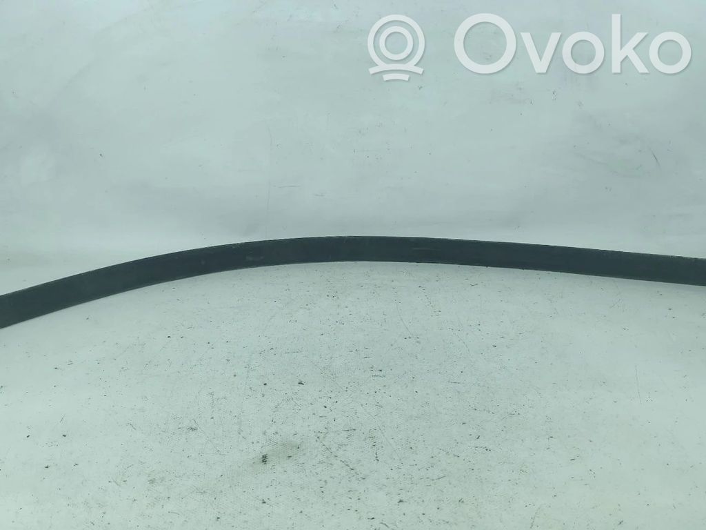 Volkswagen PASSAT B5 Rivestimento della portiera anteriore (modanatura)