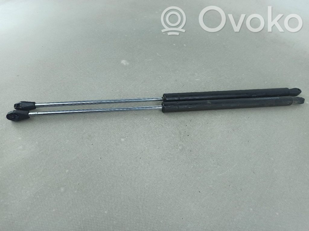 Tailgate/trunk strut/damper