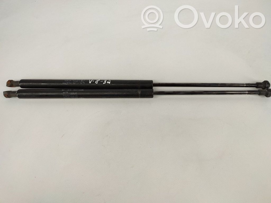 Tailgate/trunk strut/damper