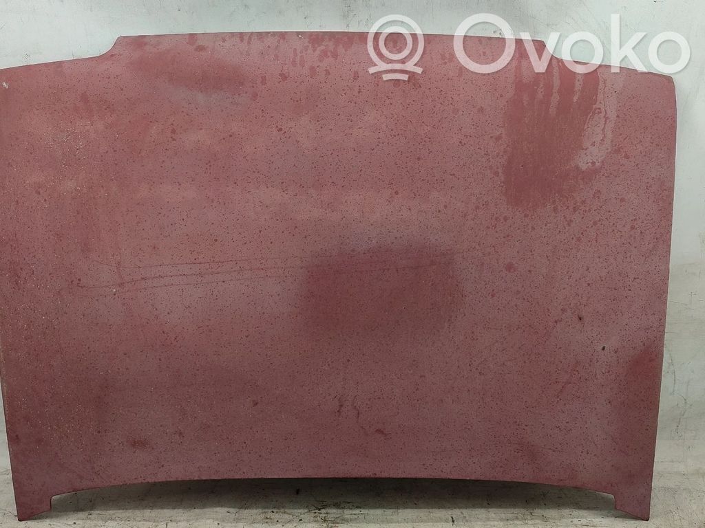 Vano motore/cofano