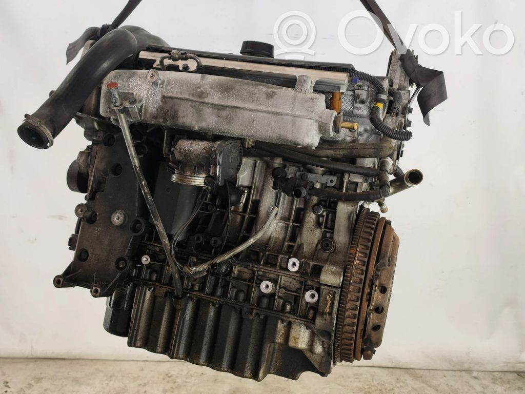 Variklis   B5204T5