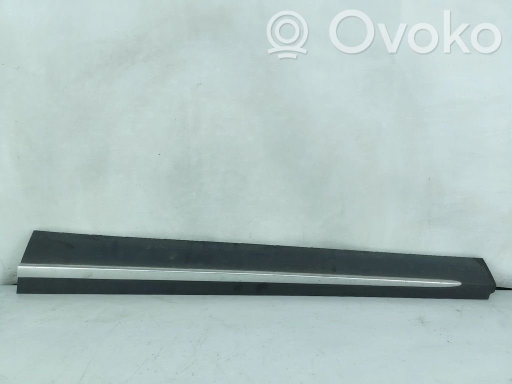 Listwa drzwi przednich   D10E51RB1
