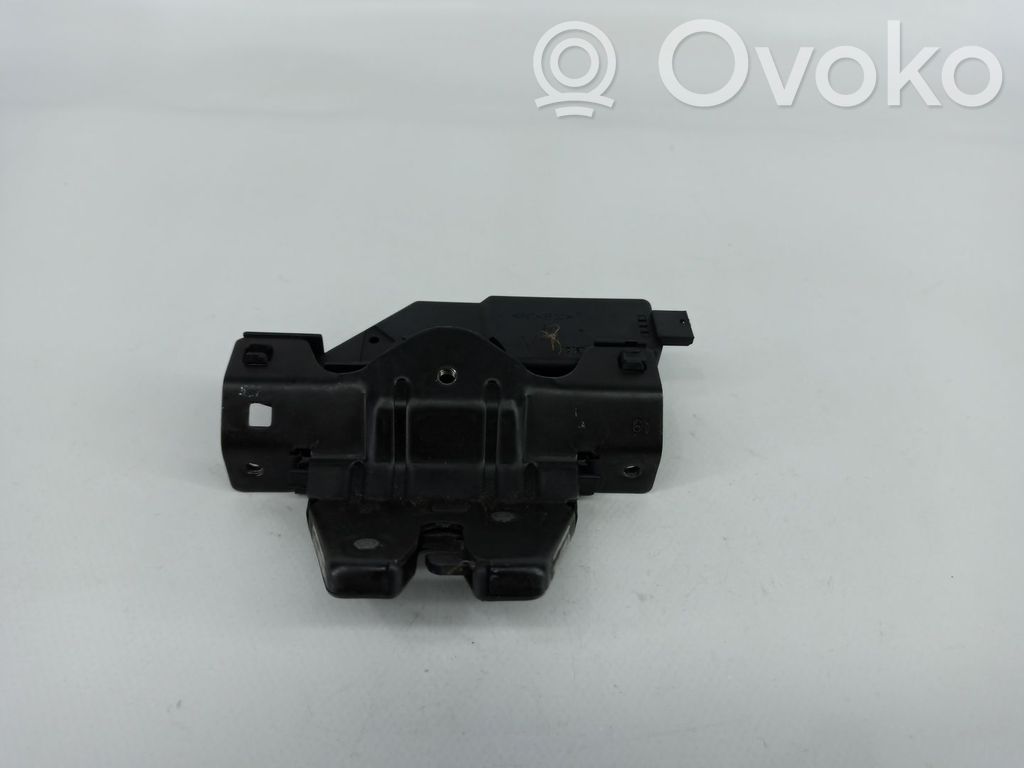 Tailgate exterior lock   8196401