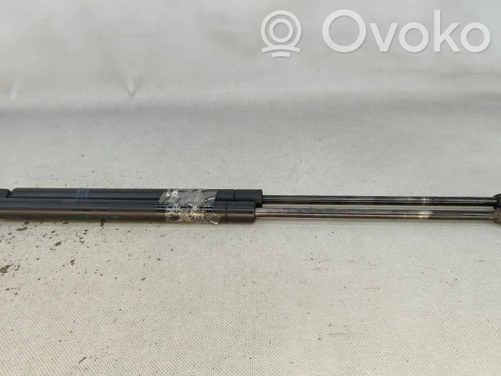 Ford Transit Tailgate/trunk strut/damper 