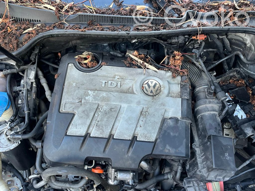 Volkswagen Golf VI Motor 