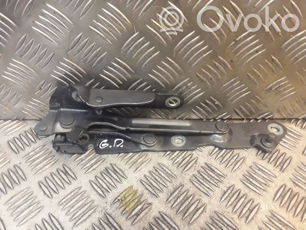 Tailgate/trunk/boot hinge
