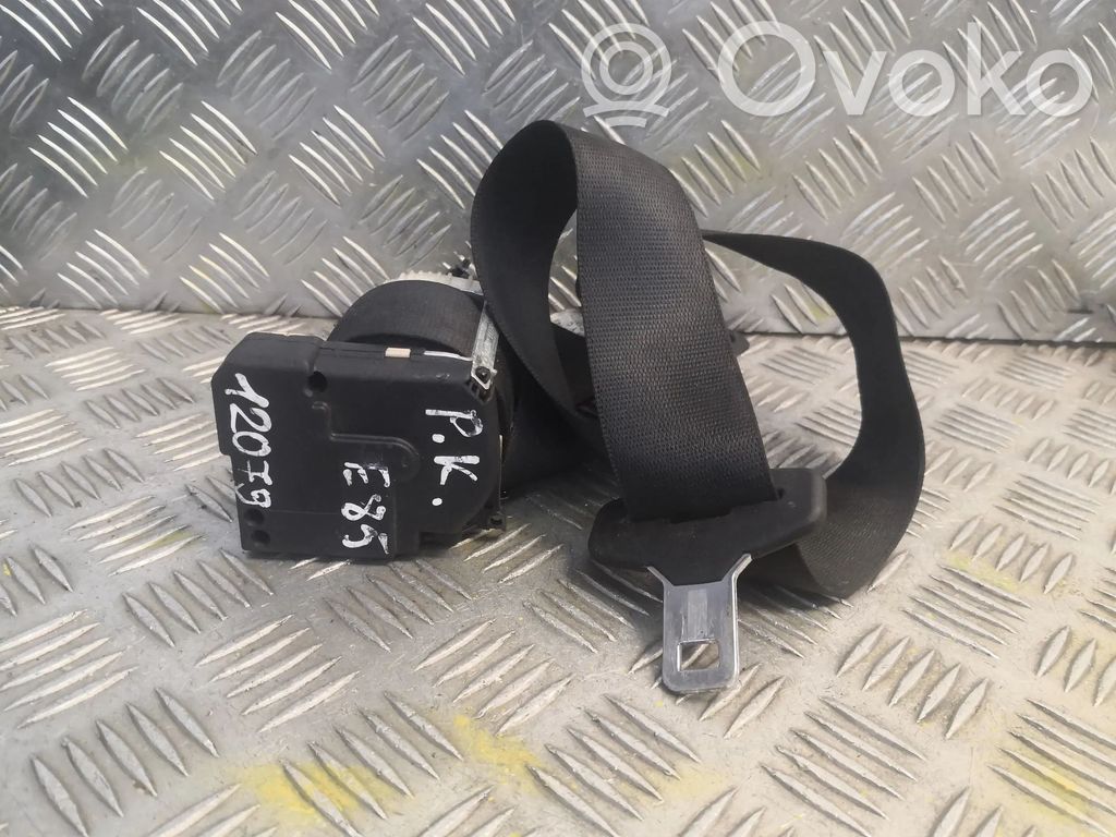 Cinturón delantero   S1701687506