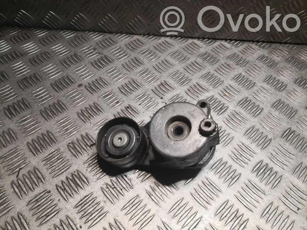 Mercedes-Benz E W211 Napinacz paska alternatora 