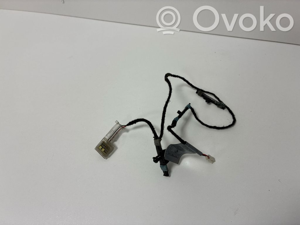 Front door handle light (exterior)   14010710,6936591,7181313