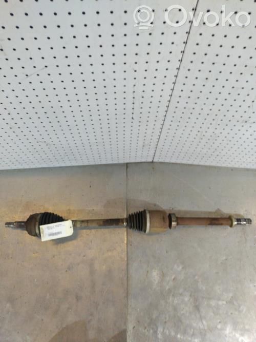 Priekinis pusašis   391009882R