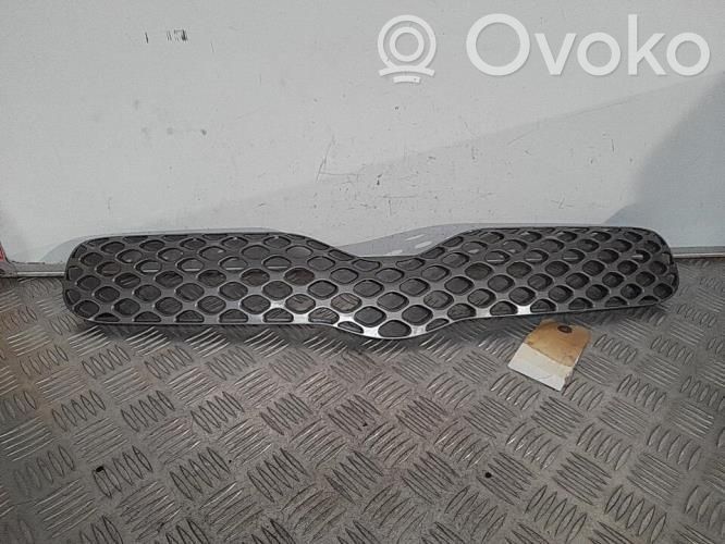 Rejilla delantera   531010D010