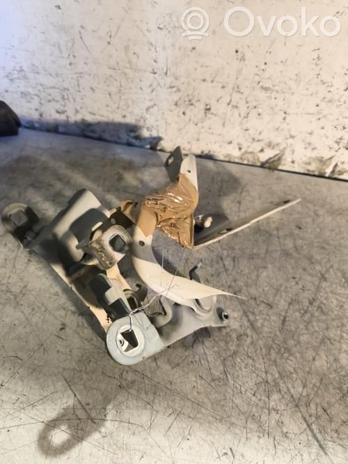 Renault Captur Balamale capotă 