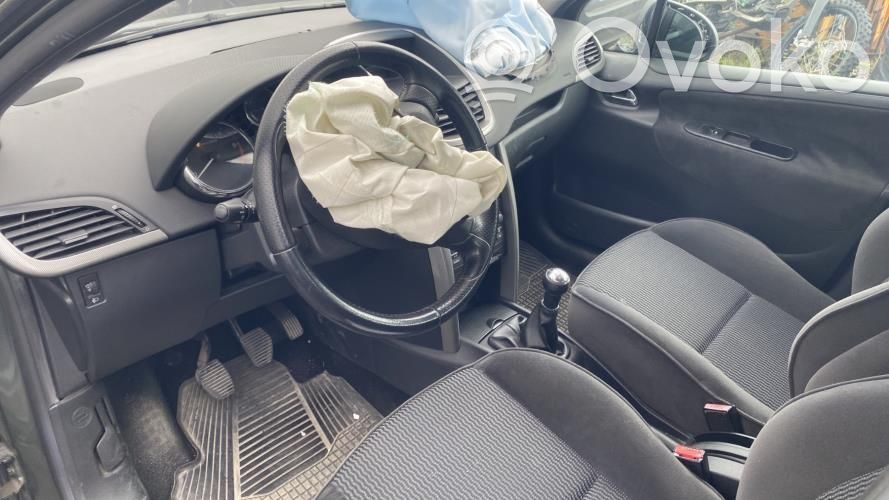 Peugeot 207 Mécanisme de lève-vitre avec moteur 