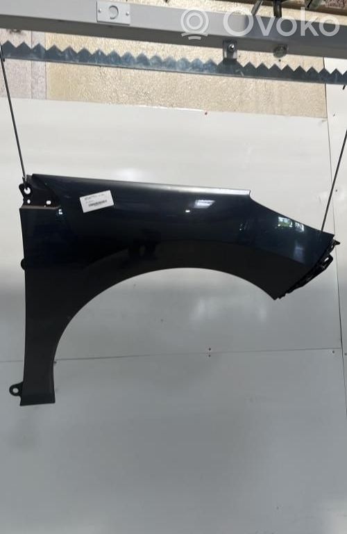 Kotflügel   7841Y1