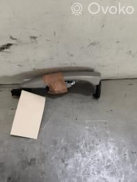 Citroen C3 Türgriff Türöffner vorne