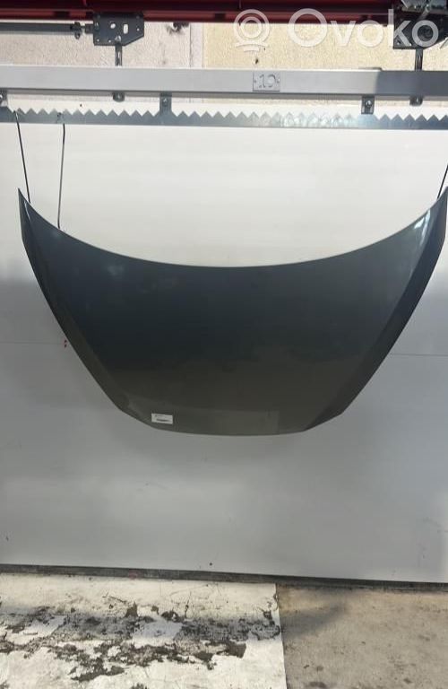Renault Avantime Vano motore/cofano