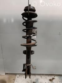 Stoßdämpfer Federbein   543026656R