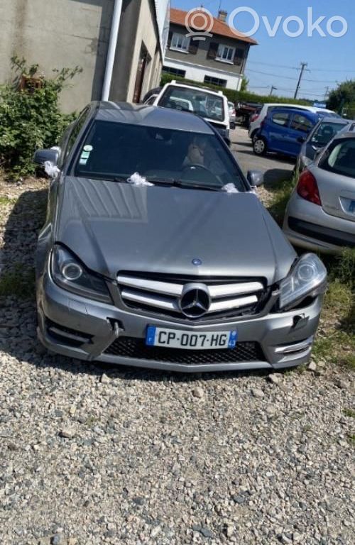 Mercedes-Benz C W204 Ammortizzatore anteriore con molla elicoidale