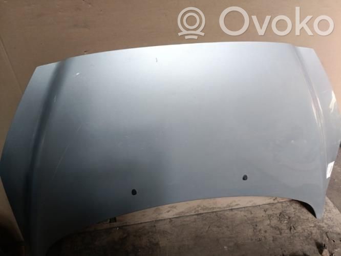 Motorhaube   7901P6