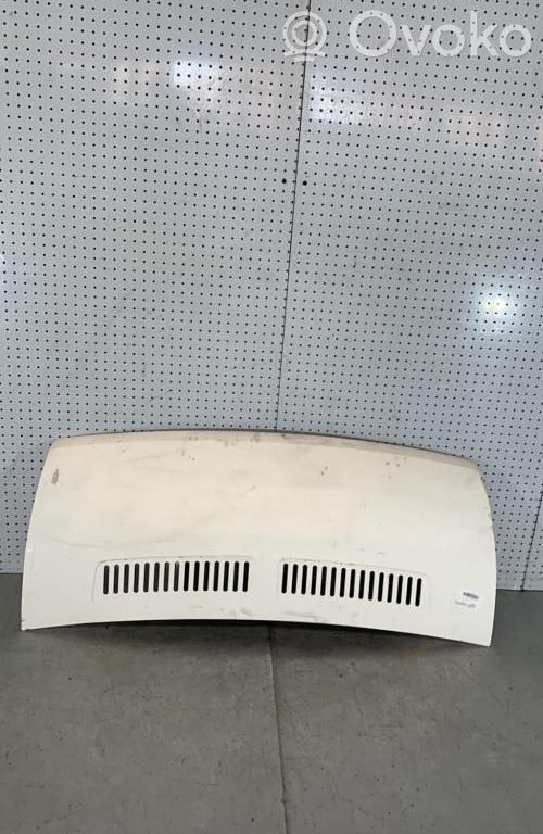 Motorhaube   7901N8