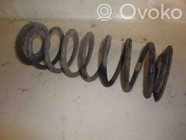Rear coil spring