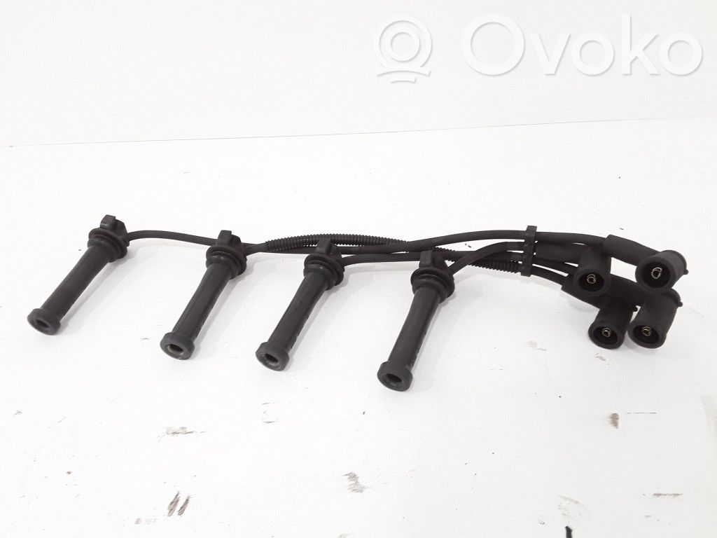 Ignition plug leads