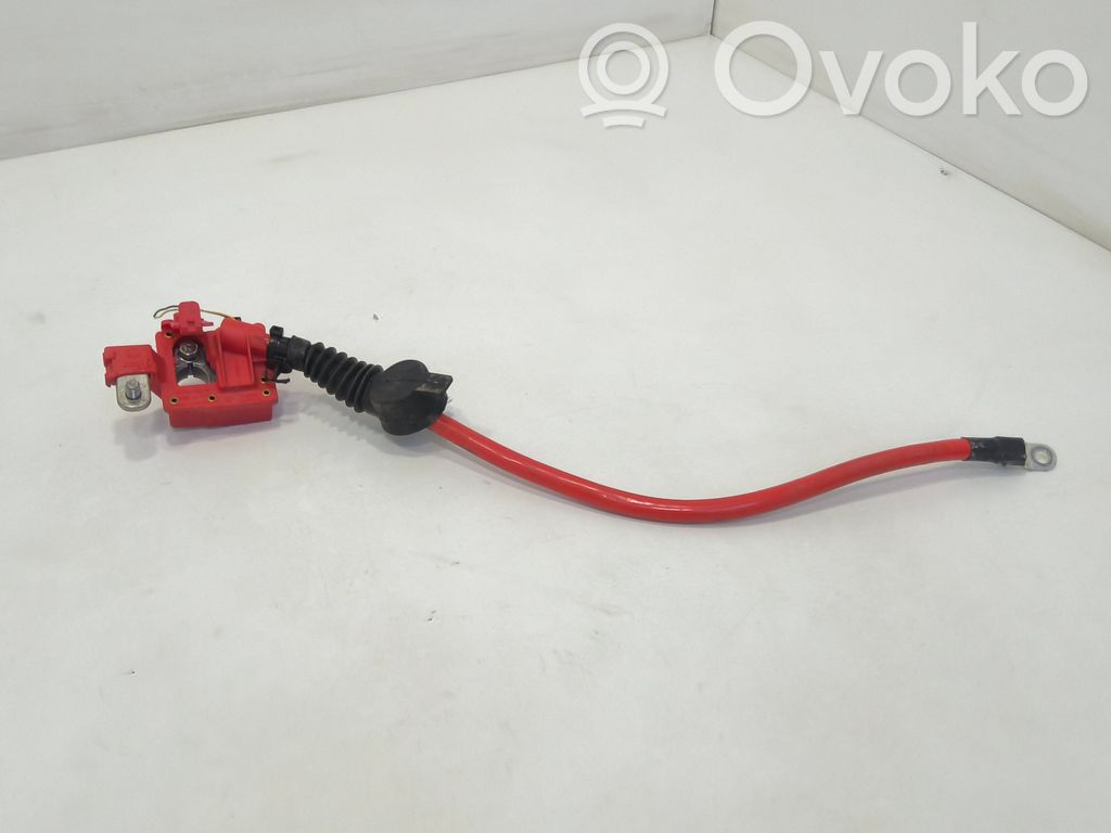 BMW 5 F10 F11 Positive cable (battery) 