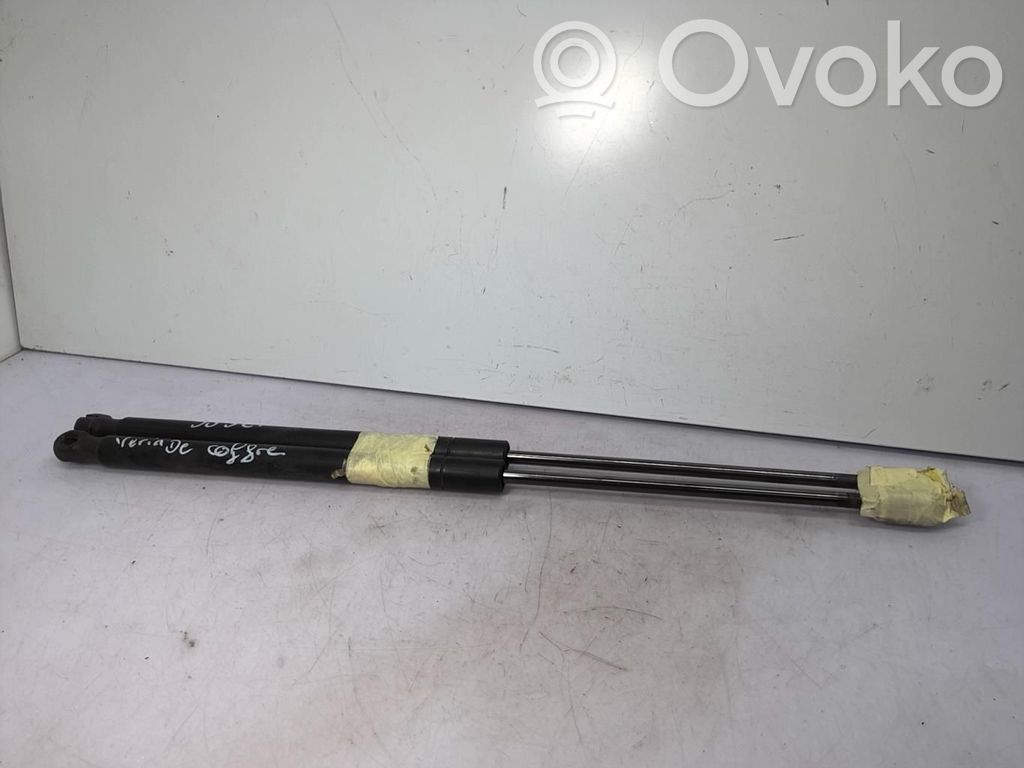 Tailgate/trunk strut/damper   1684312