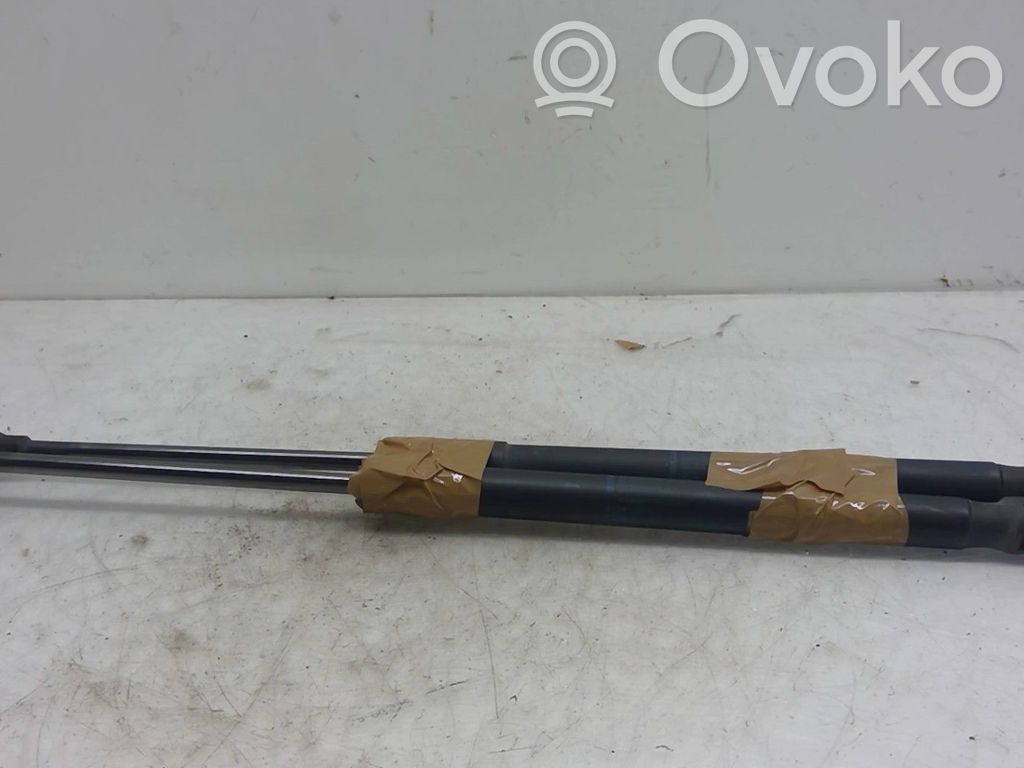 Tailgate/trunk strut/damper   51247060622