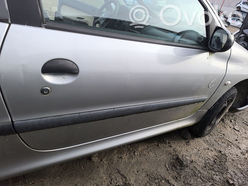 Peugeot 206 Puerta delantera 