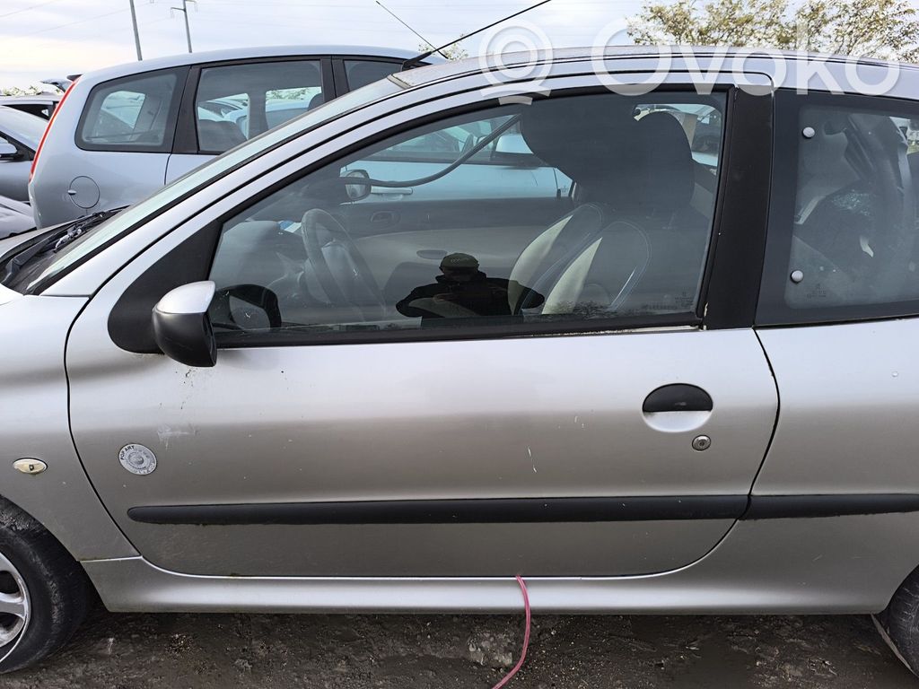 Durvis   9002K6
