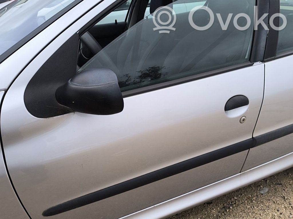 Peugeot 206 Puerta delantera 