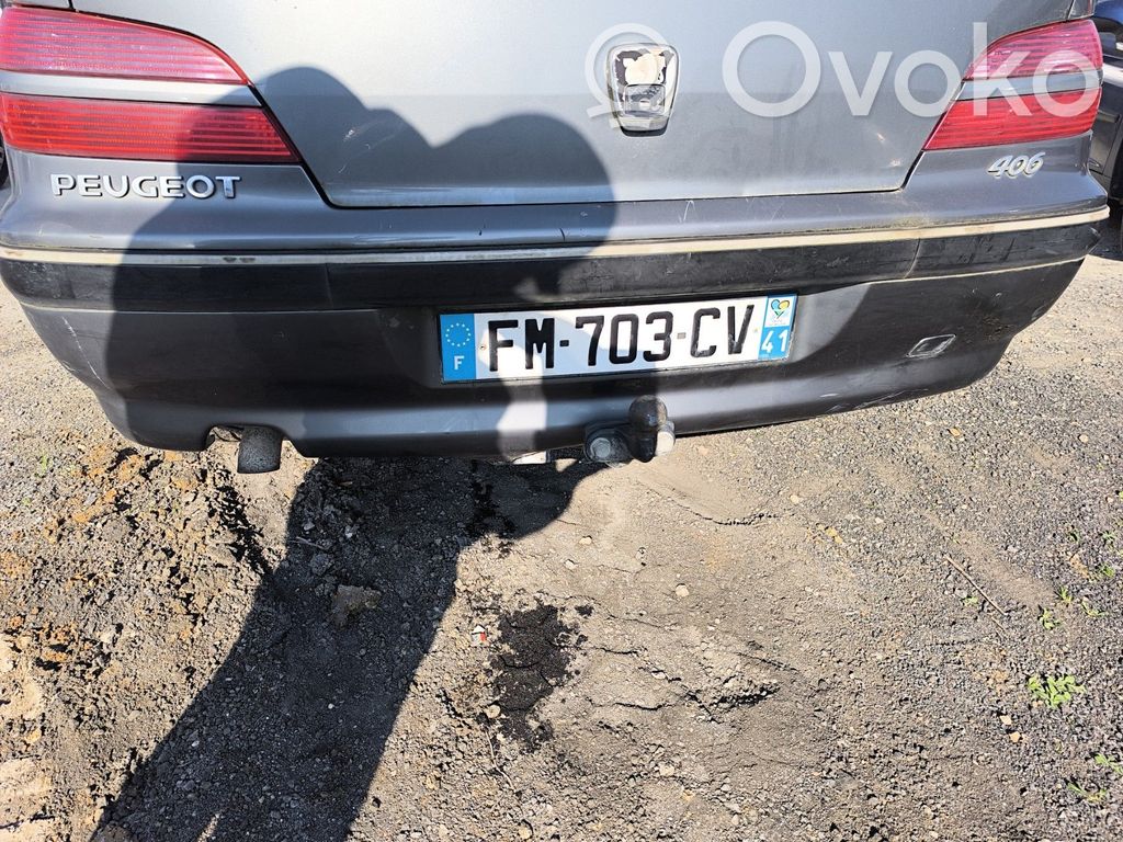 Peugeot 406 Parachoques 