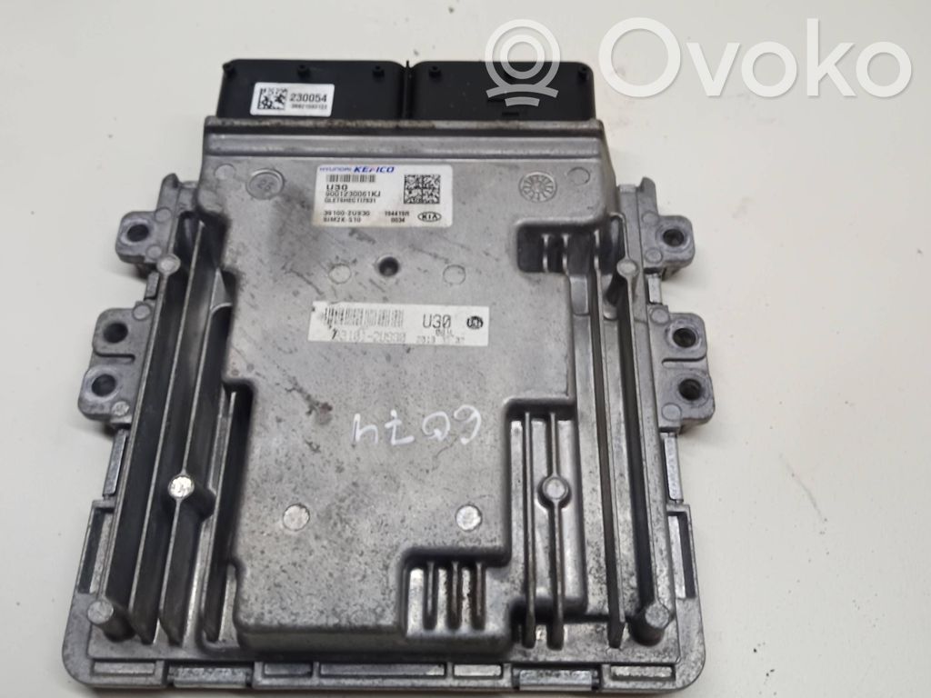 KIA Sportage Engine control unit/module 