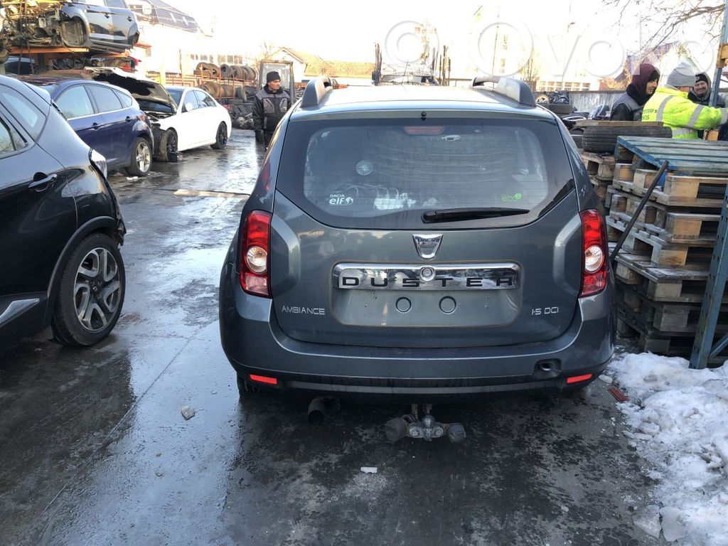 Tailgate/trunk/boot lid   901005006R