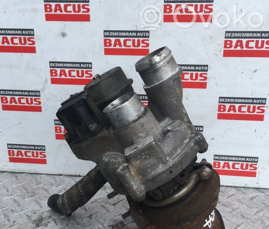 Turbo   756542404