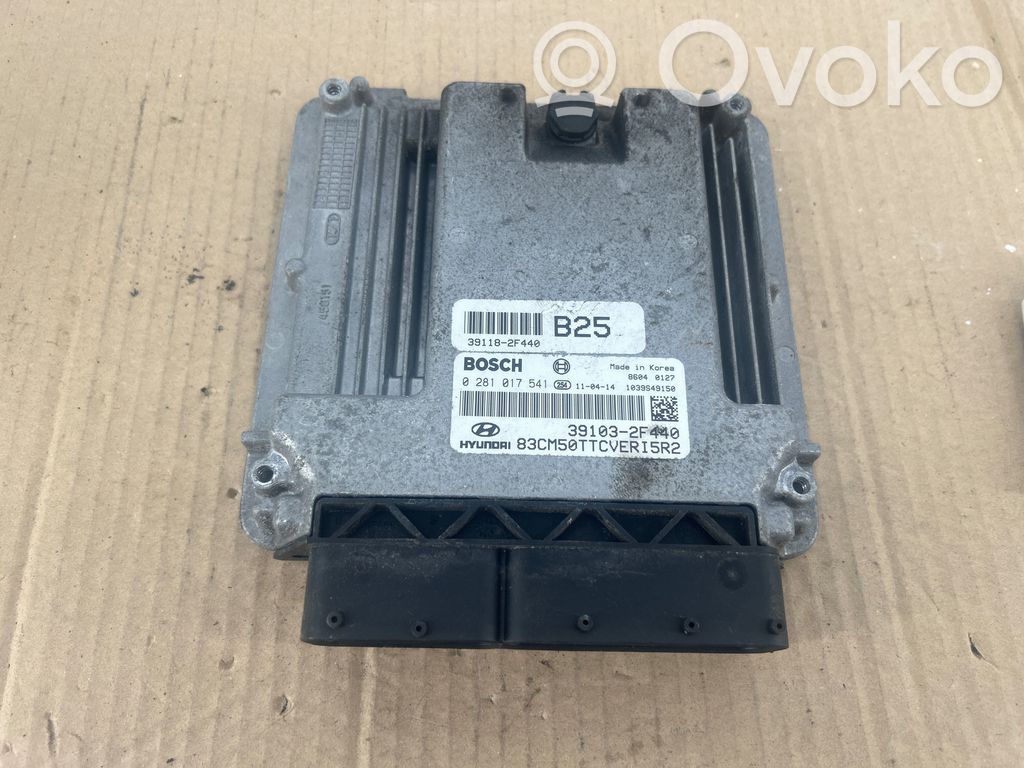Hyundai Santa Fe Engine control unit/module 