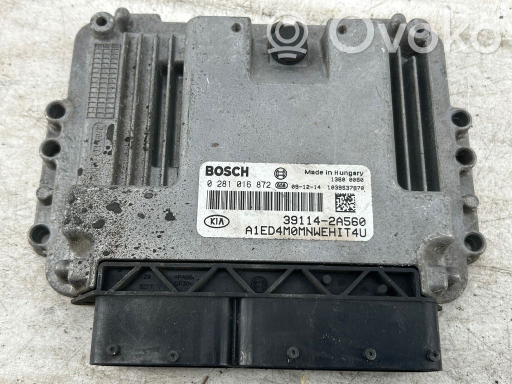 Unidad de control/módulo ECU del motor   0281016872,391142A560,1039S37870