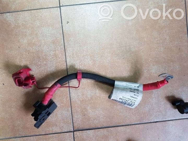 Parachoques delantero   251250