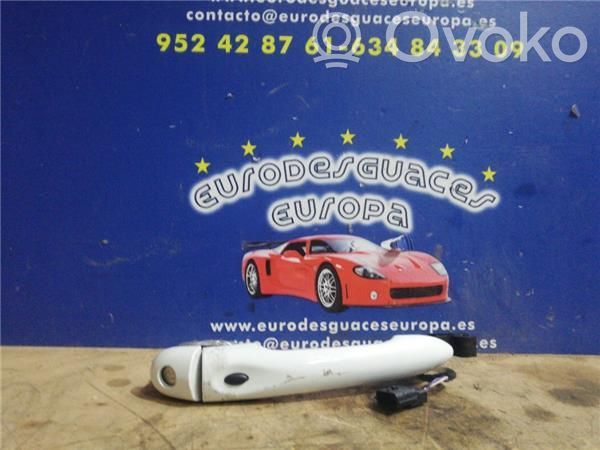 Etuoven ulkokahva   242578B,806078101