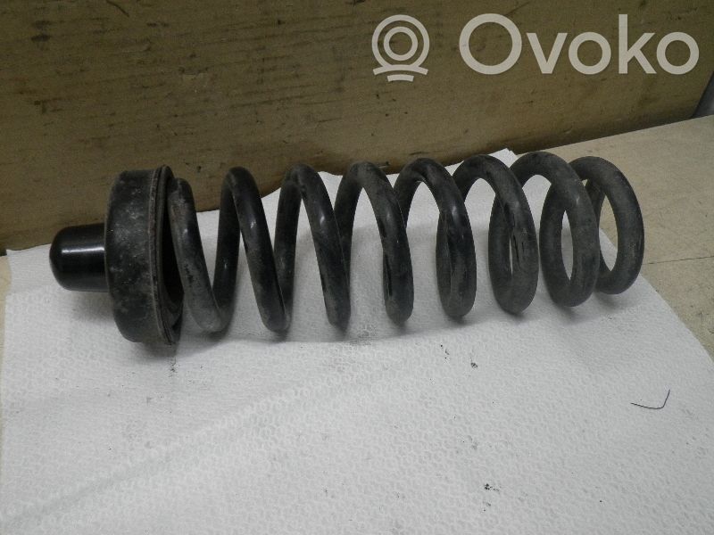 Rear coil spring