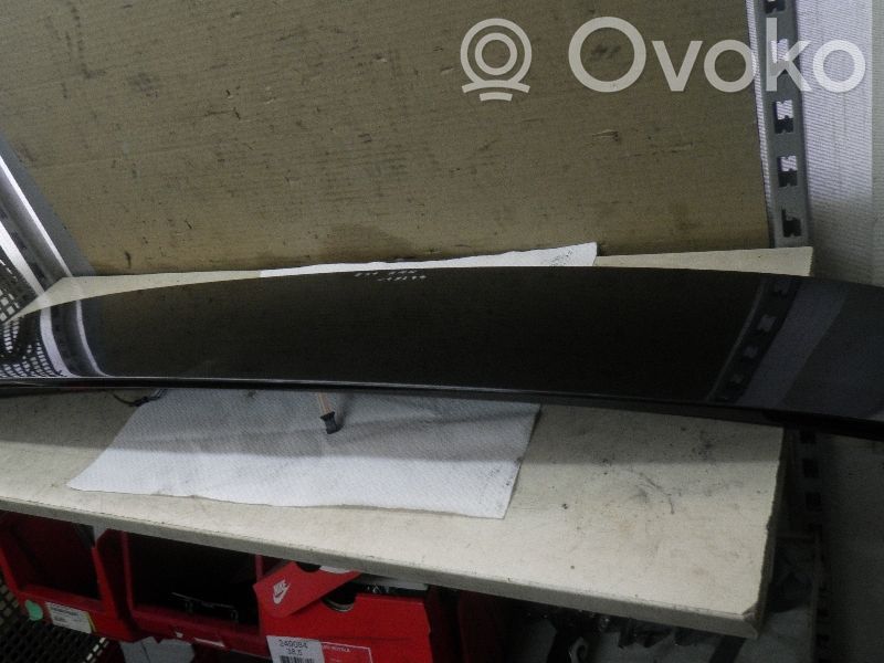 Tailgate/trunk spoiler   7167176