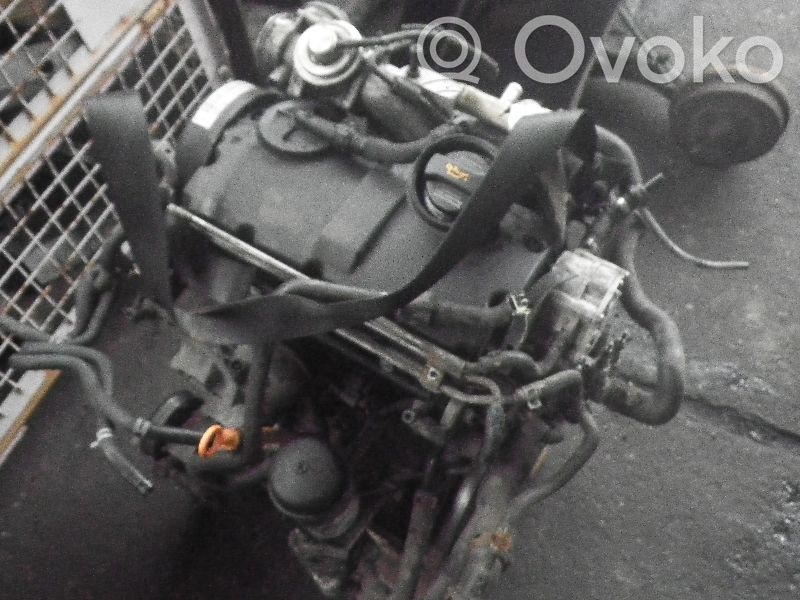 Motor   AXR