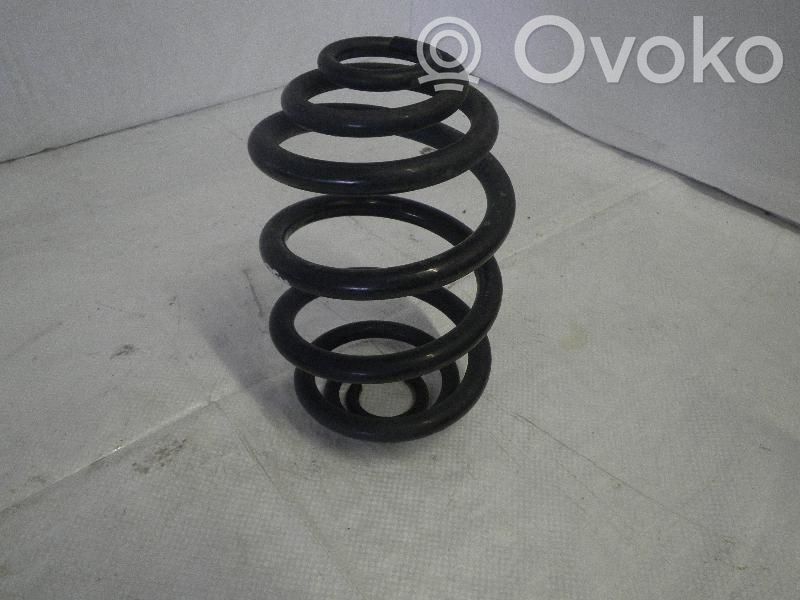 Muelle espiral trasero
