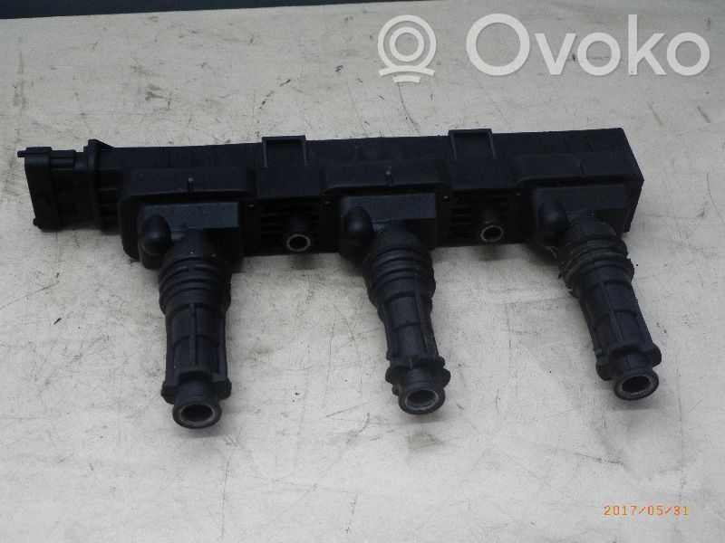 Module d'allumage   0221503014