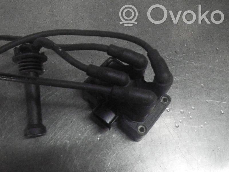 High voltage ignition coil   1317972
