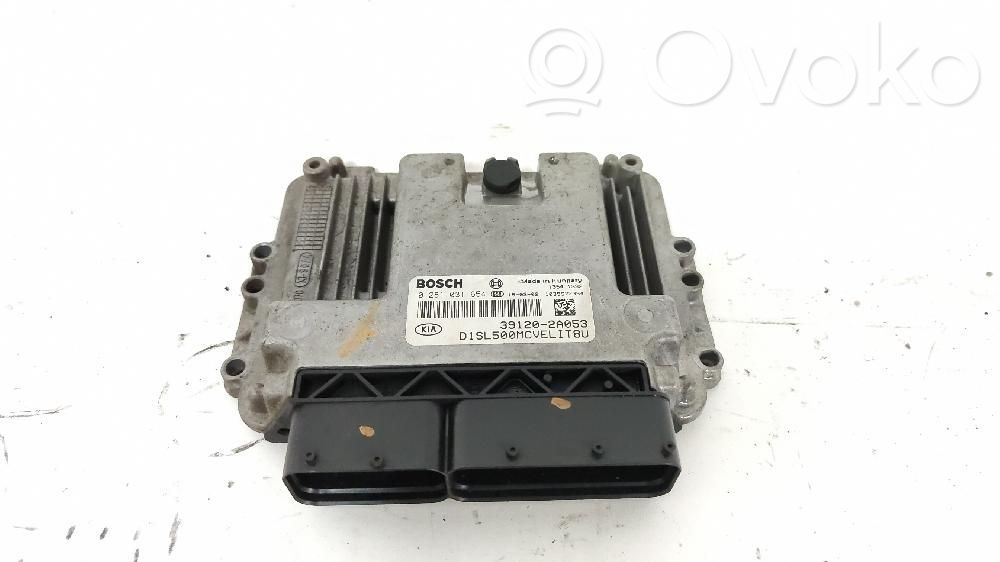 Engine control unit/module   391202A053